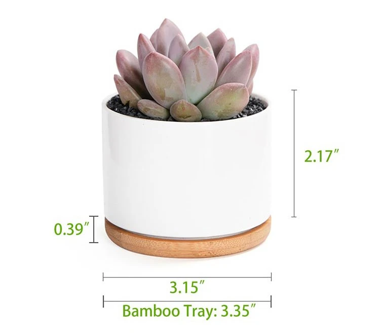 ceramic succulent pot 2